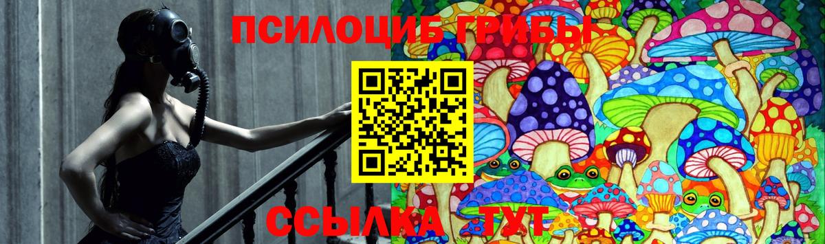 Галлюциногенные грибы Psilocybe  Вход с VPN  Мичуринск  Галлюциногенные грибы GOLDEN TEACHER 